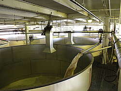 Buffalo Trace fermenter