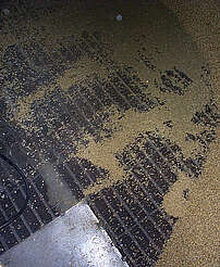 Balvenie malting floor&nbsp;uploaded by&nbsp;Ben, 07. Feb 2106