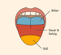 Image of a tongue with labelling of the individual taste sensations sweet, sour, salty and bitter.
