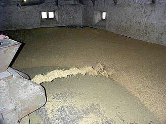 Balvenie distribute barley&nbsp;uploaded by&nbsp;Ben, 07. Feb 2106