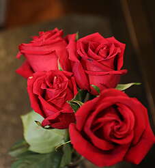 Four Roses in the distillery.&nbsp;uploaded by&nbsp;Ben, 07. Feb 2106