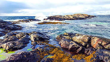 Crafty coast with bladderwrack seaweed&nbsp;uploaded by&nbsp;Ben, 07. Feb 2106