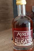 Ayrer's Alligator