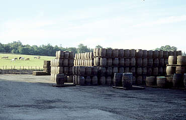 Glenfiddich cask stock&nbsp;uploaded by&nbsp;Ben, 07. Feb 2106