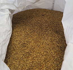 Mackmyra barley&nbsp;uploaded by&nbsp;Ben, 07. Feb 2106