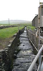Scapa water for cooling&nbsp;uploaded by&nbsp;Ben, 07. Feb 2106