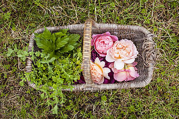 Lussa Gin flower basket&nbsp;uploaded by&nbsp;Ben, 07. Feb 2106
