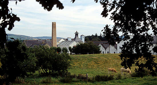 The distillery house of Dallas Dhu