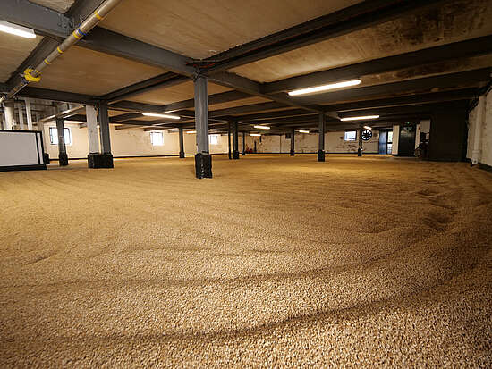 The malting floor of the Bowmore distillery