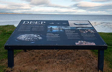 Glenmorangie DEEP oyster project&nbsp;uploaded by&nbsp;Ben, 07. Feb 2106