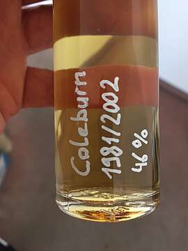 Coleburn 1981 / 2002 Sample Selected and Bottled Exclusively for Switzerland (S.Fassbind)